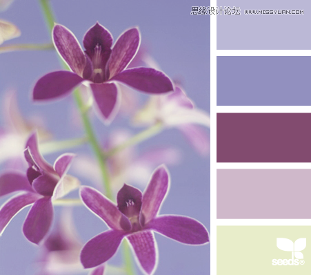 SpringFlora 配色设计:来源于生活与大自然