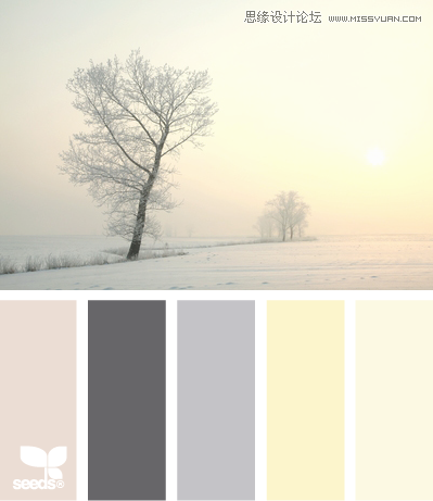 WinterTints 配色设计:来源于生活与大自然