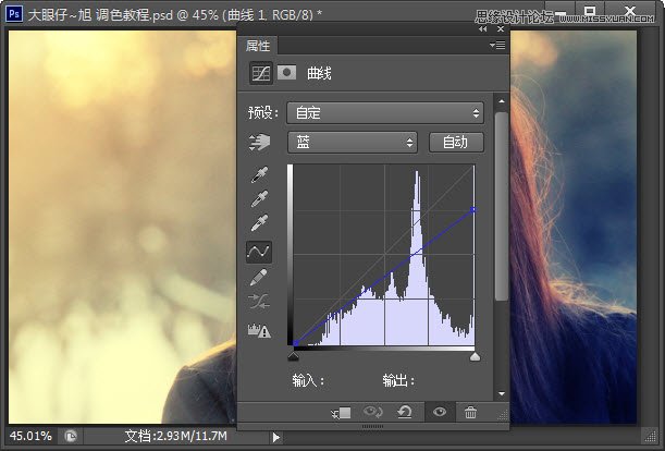 PhotoshopŮƬʻƹ