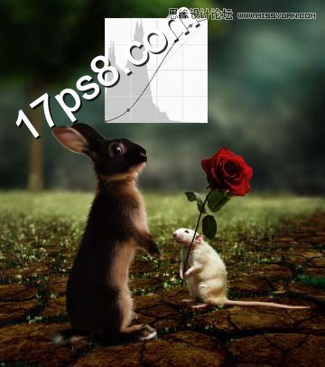 Photoshopϳ˽󰮵
