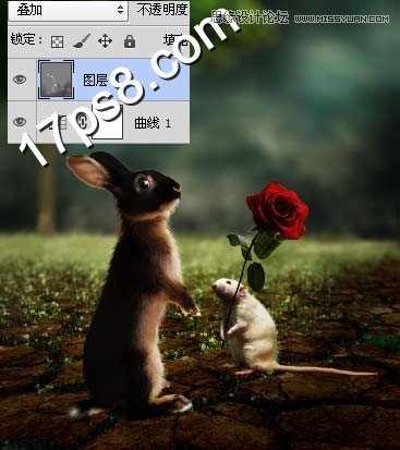 Photoshopϳ˽󰮵