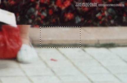 Photoshop֮·֮Ƭͼ
