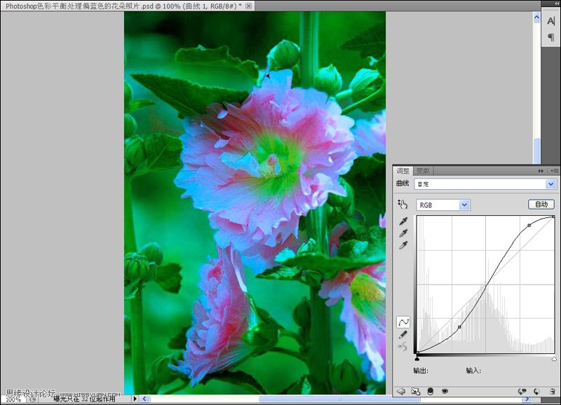 Photoshop给严重偏色的花朵照片较色