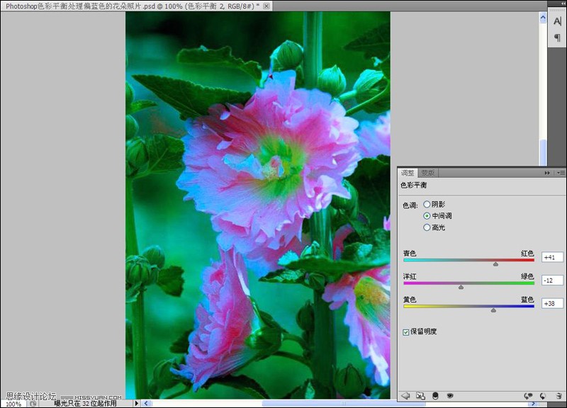 Photoshop给严重偏色的花朵照片较色