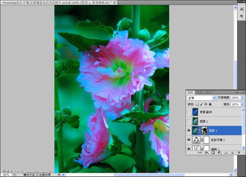 Photoshop给严重偏色的花朵照片较色