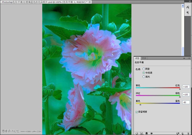 Photoshop给严重偏色的花朵照片较色