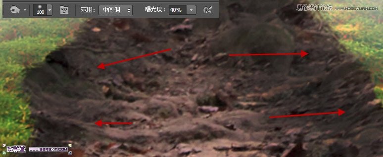 Photoshop制作树木图案立体字教程