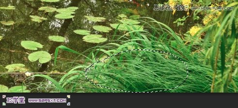 Photoshop制作树木图案立体字教程