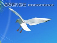 Photoshop合成夏季主题婚纱摄影场景