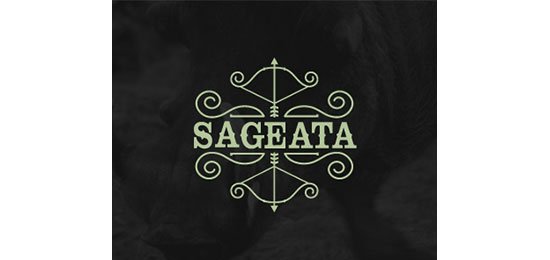 40款给你灵感的优秀LOGO设计作品
