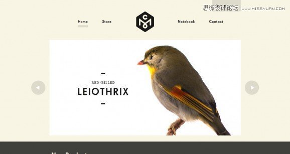 50张国外设计大气的扁平化网页设计欣赏