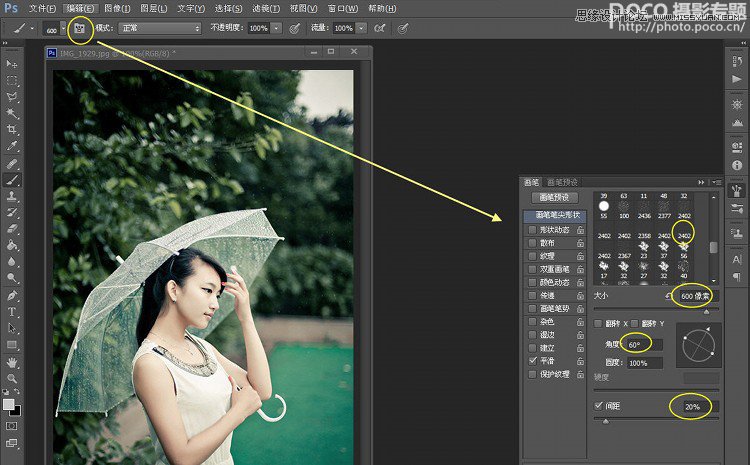 Photoshop̬˿ĺڷ