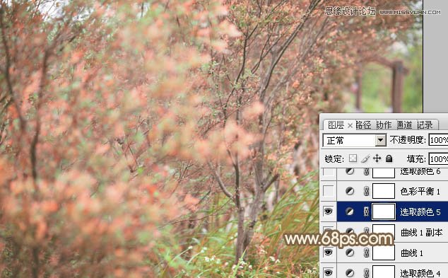 PhotoshopƬ＾Ч