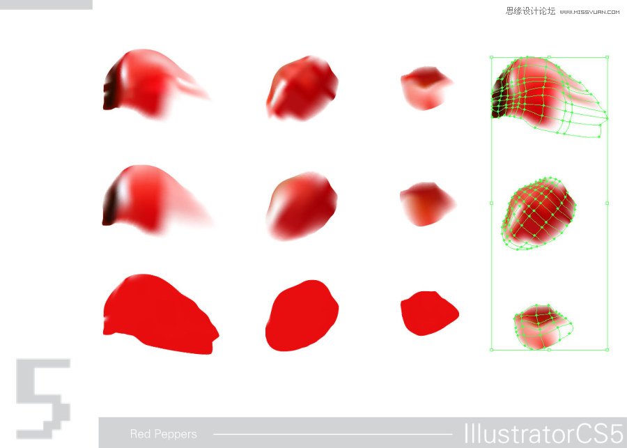 Illustrator CS5Ʊĺ̳