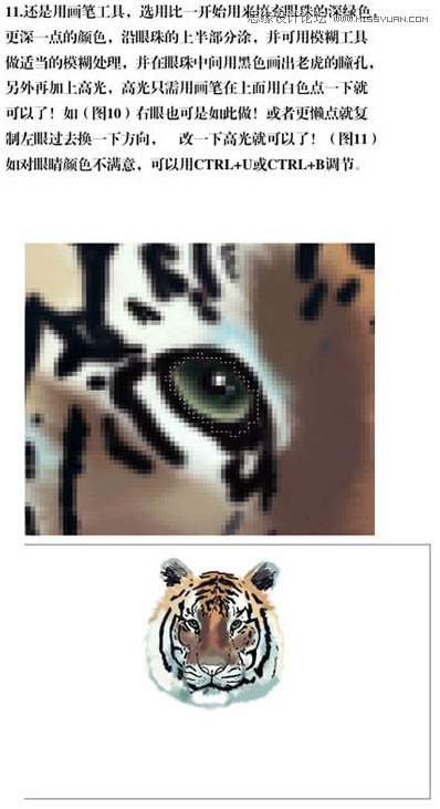 Photoshopֻݴеϻ廭