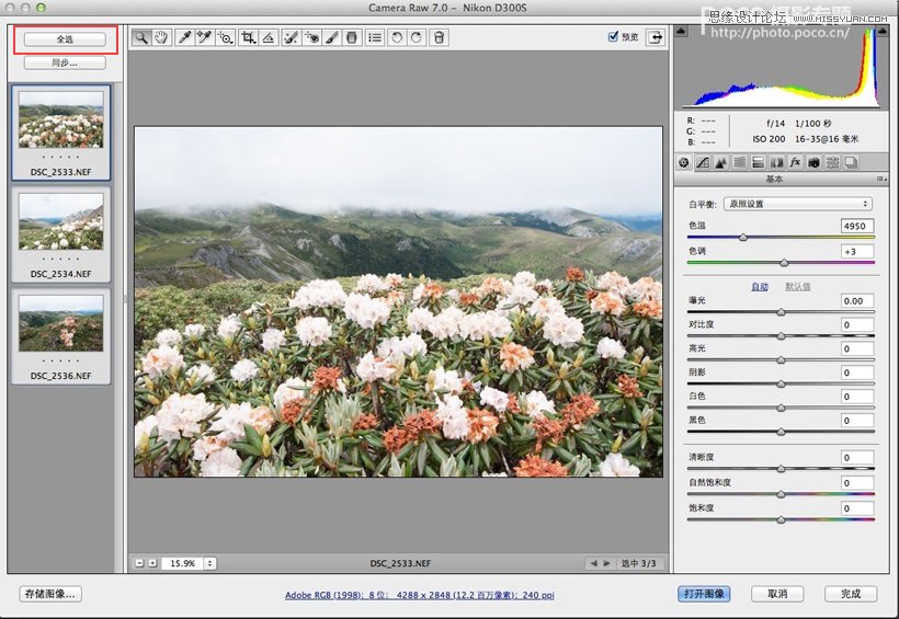 Photoshop66ǳĵü