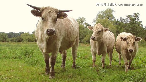 详细解析平面设计中的魔力数字3
