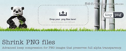 TinyPNG 精选国外优秀图片优化工具推荐,PS教