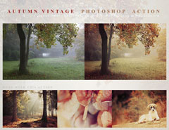 风景照片唯美的秋季泛黄效果调色动作