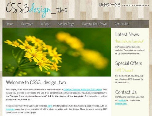50ƷʵHTML5CSS3ҳģ