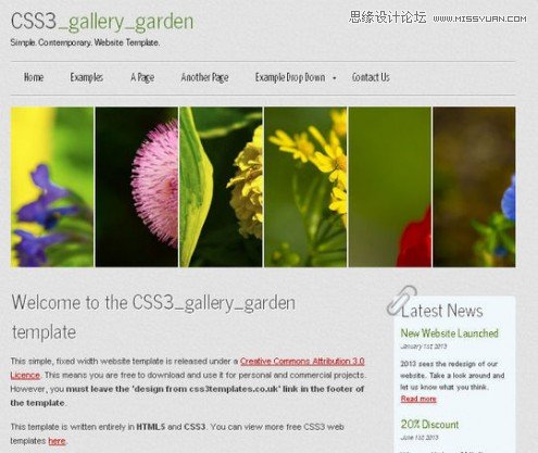 50ƷʵHTML5CSS3ҳģ
