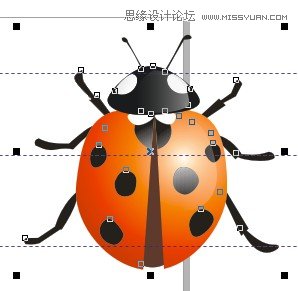 CorelDrawƱƯư