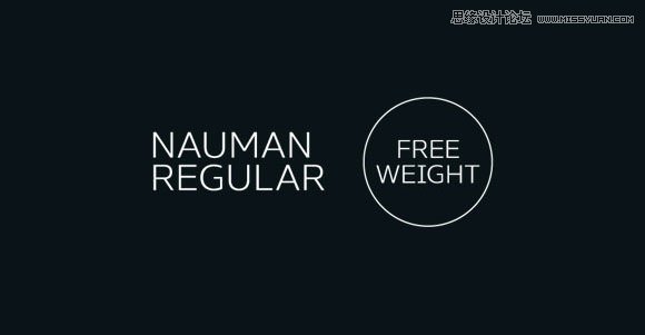nauman-regular-free-font 精选国外11月最新的免费英文字体下载