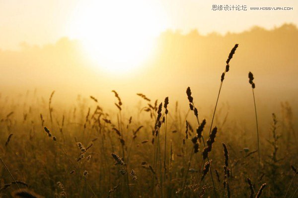 45款国外唯美的PS调色动作打包下载