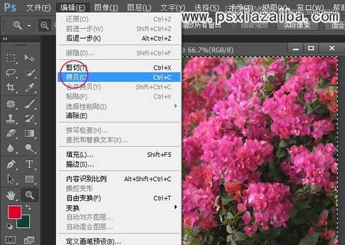 Photoshop򵥿ٵĸɴŮͼ