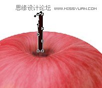 PhotoshopƱɿڵ츻ʿ