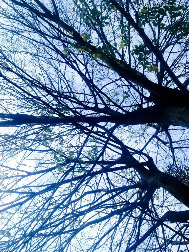 ϸʹֻĳƬ