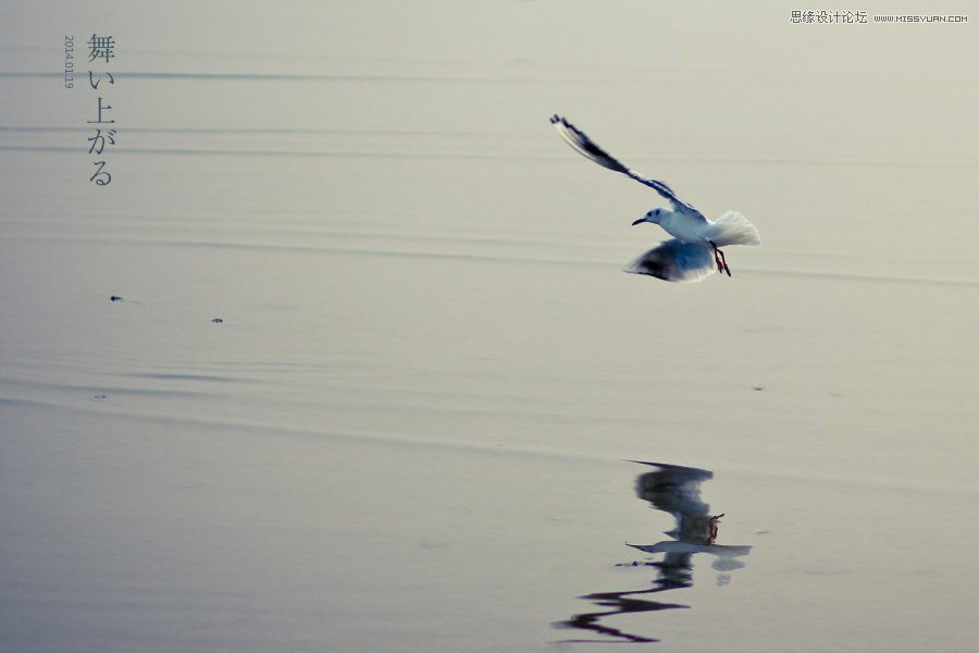 ϸʹֻĳƬ