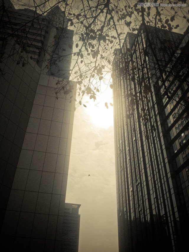 ϸʹֻĳƬ