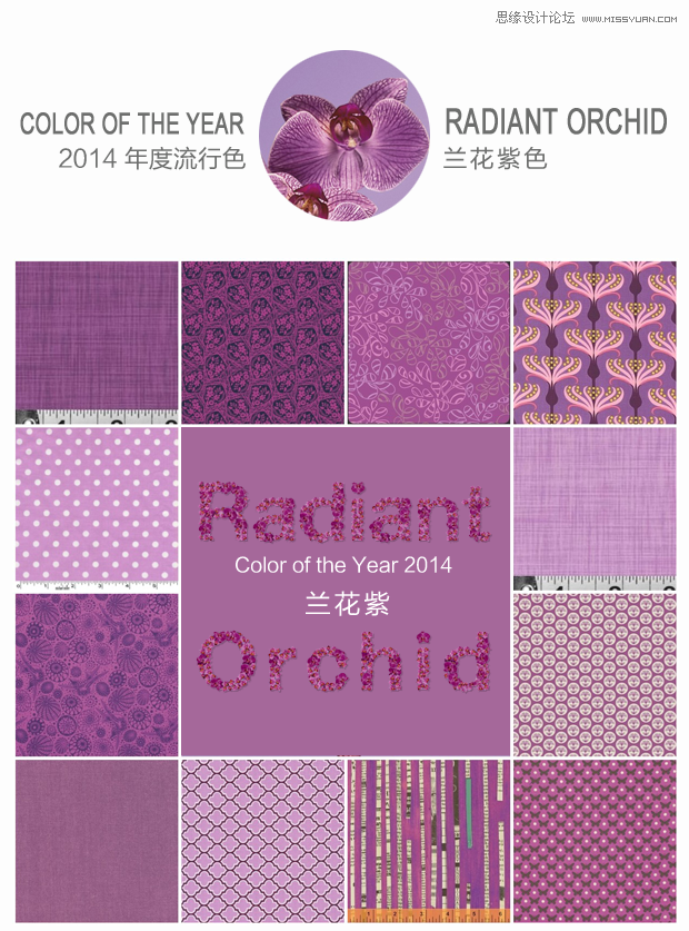 ʦ˽һ2014괺ɫ