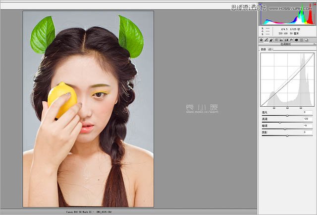 Photoshop结合CR给人像添加美丽彩妆