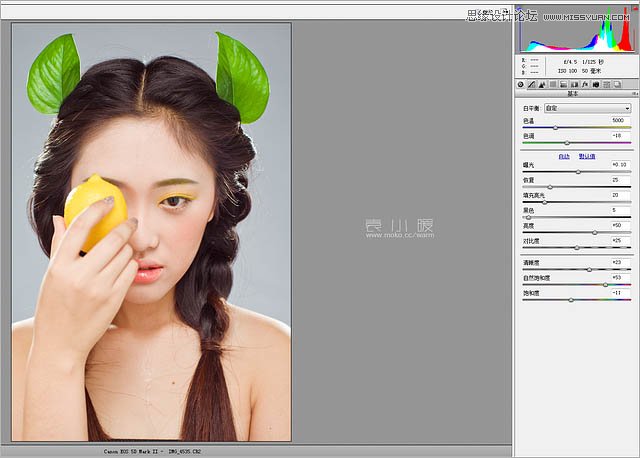 Photoshop结合CR给人像添加美丽彩妆
