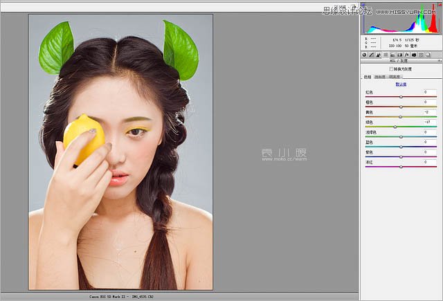 Photoshop结合CR给人像添加美丽彩妆