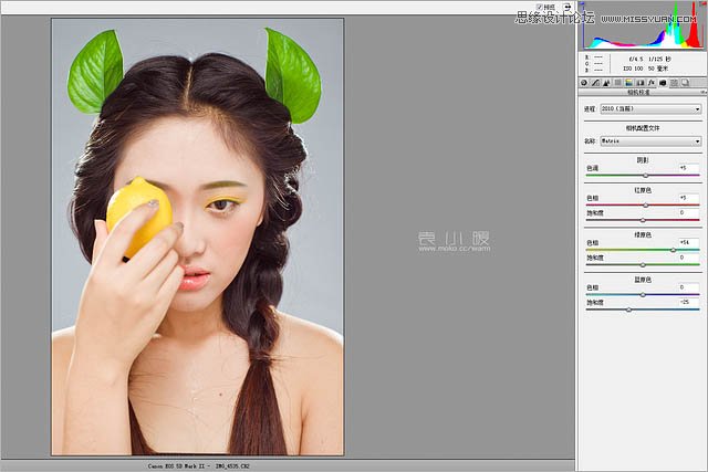 Photoshop结合CR给人像添加美丽彩妆