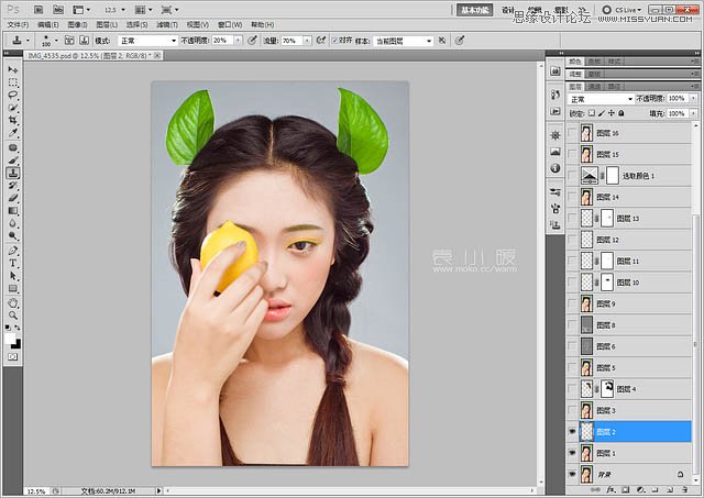 Photoshop结合CR给人像添加美丽彩妆