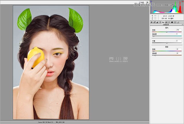 Photoshop结合CR给人像添加美丽彩妆