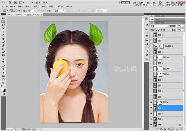 Photoshop结合CR给人像添加美丽彩妆