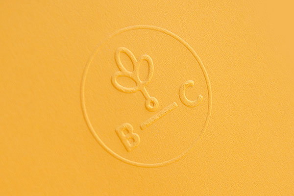 Branch CreativeӾ
