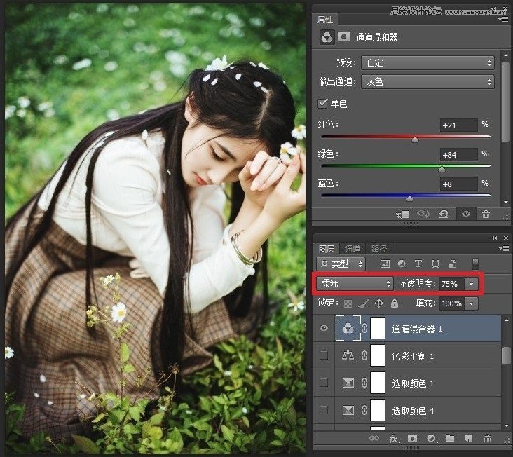 PhotoshopŰ֥Ƭ¸Ч