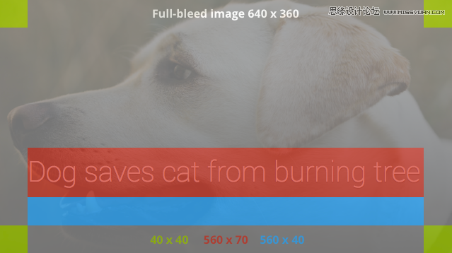 ϸGoogle Glassָ