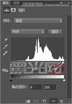 PhotoshopֻƬΨɫ
