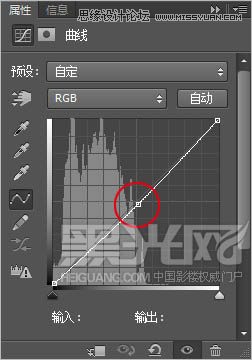 PhotoshopֻƬΨɫ