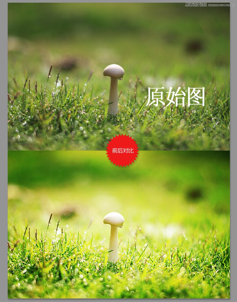 Photoshop羰ƬΨůɫЧ