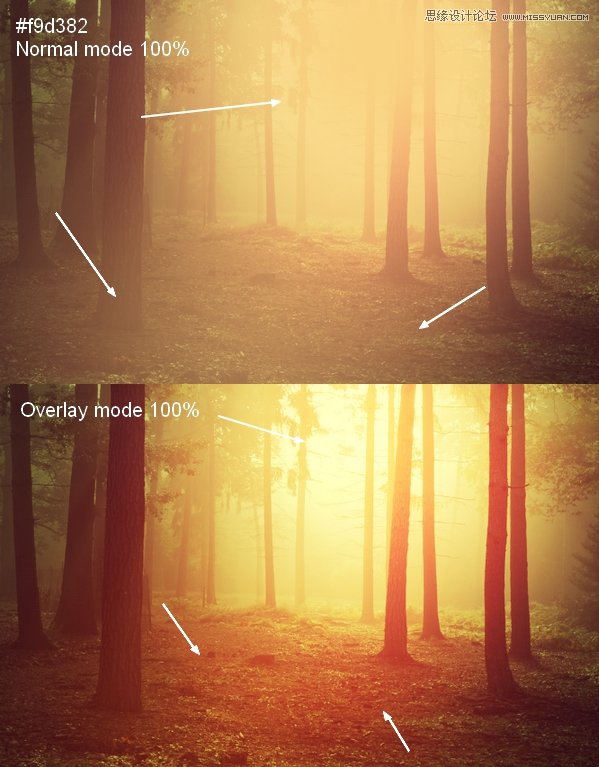 Photoshop羰ĳĺɫЧ