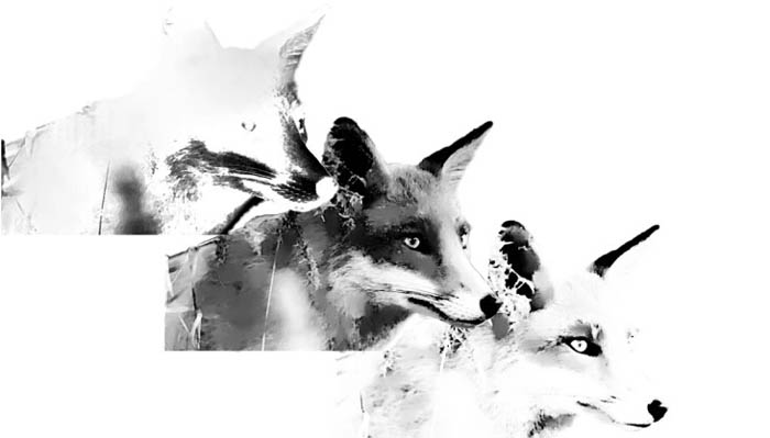Photoshop制作时尚的水彩效果动物头像