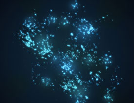 Һеĸ˸Чˢ